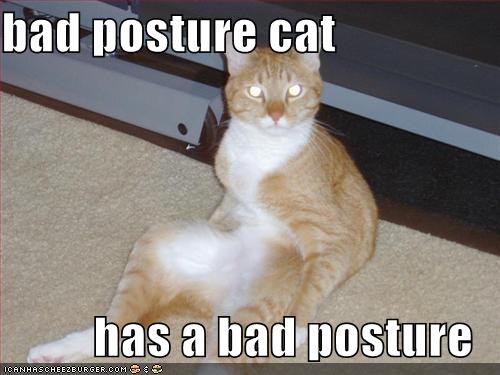 bad-posture-cat[1]